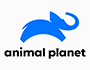 animal planet