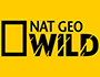 nat geo wild