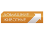 домашние животные